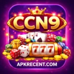 CCN9 Game App